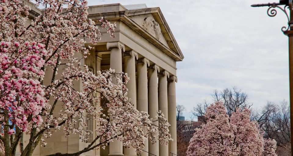 Baltimore Museum of Art