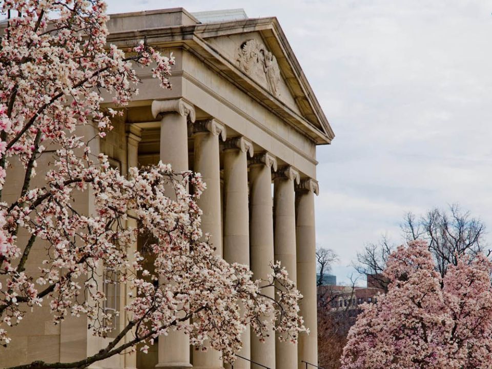 Baltimore Museum of Art